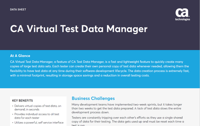 Virtual Test Data Manager